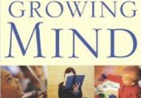 Centru de cursuri pentru parinti / parenting: Your Child Growing Mind
